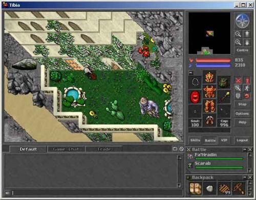 Tibia 044250,4